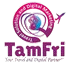 TamFri Infotech Logo